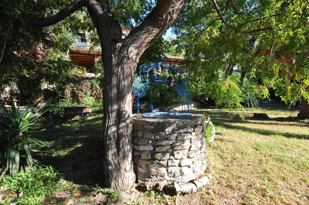 Villa Theodora View Apartments Zeys Agios Georgios Pagon Bagian luar foto