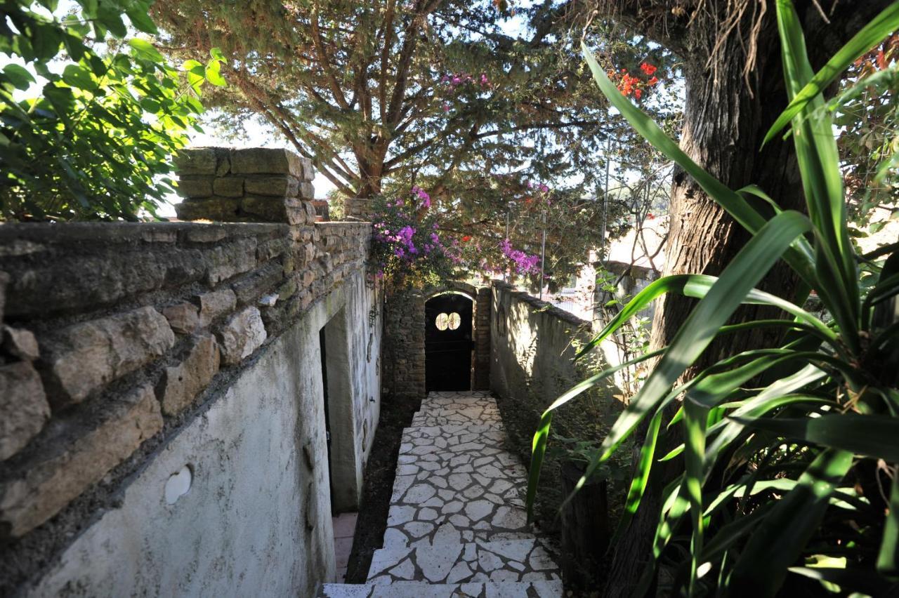 Villa Theodora View Apartments Zeys Agios Georgios Pagon Bagian luar foto