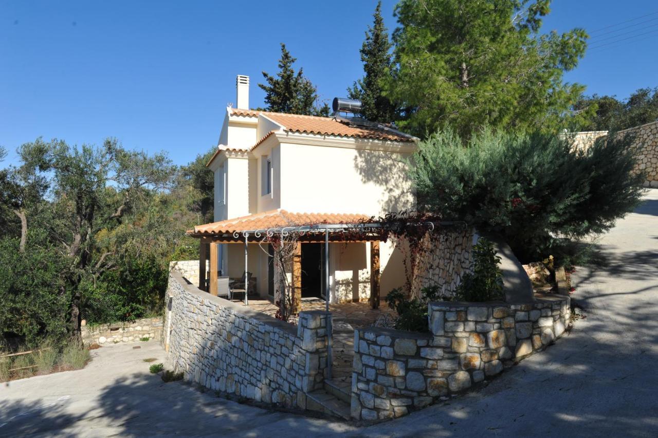 Villa Theodora View Apartments Zeys Agios Georgios Pagon Bagian luar foto